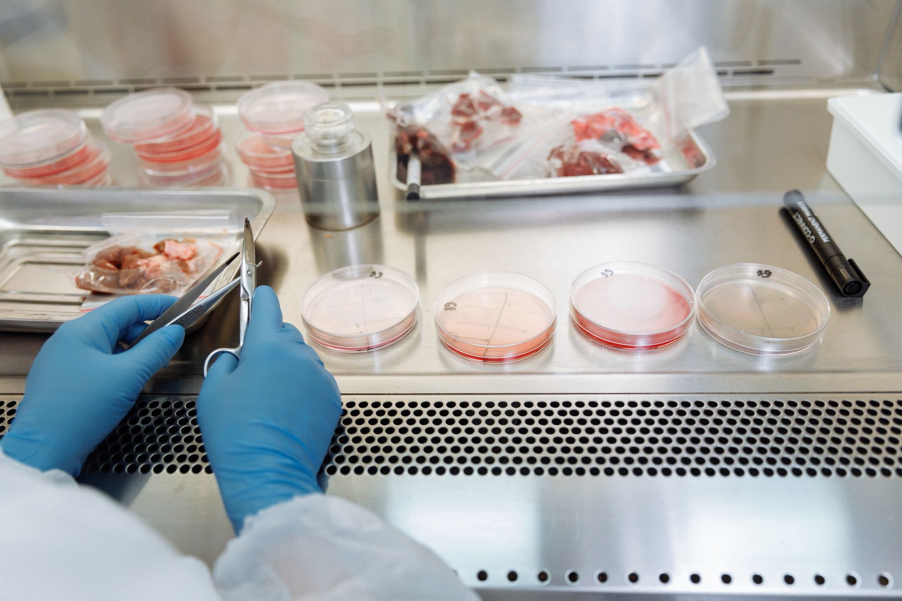 Food samples being checked in a laboratory