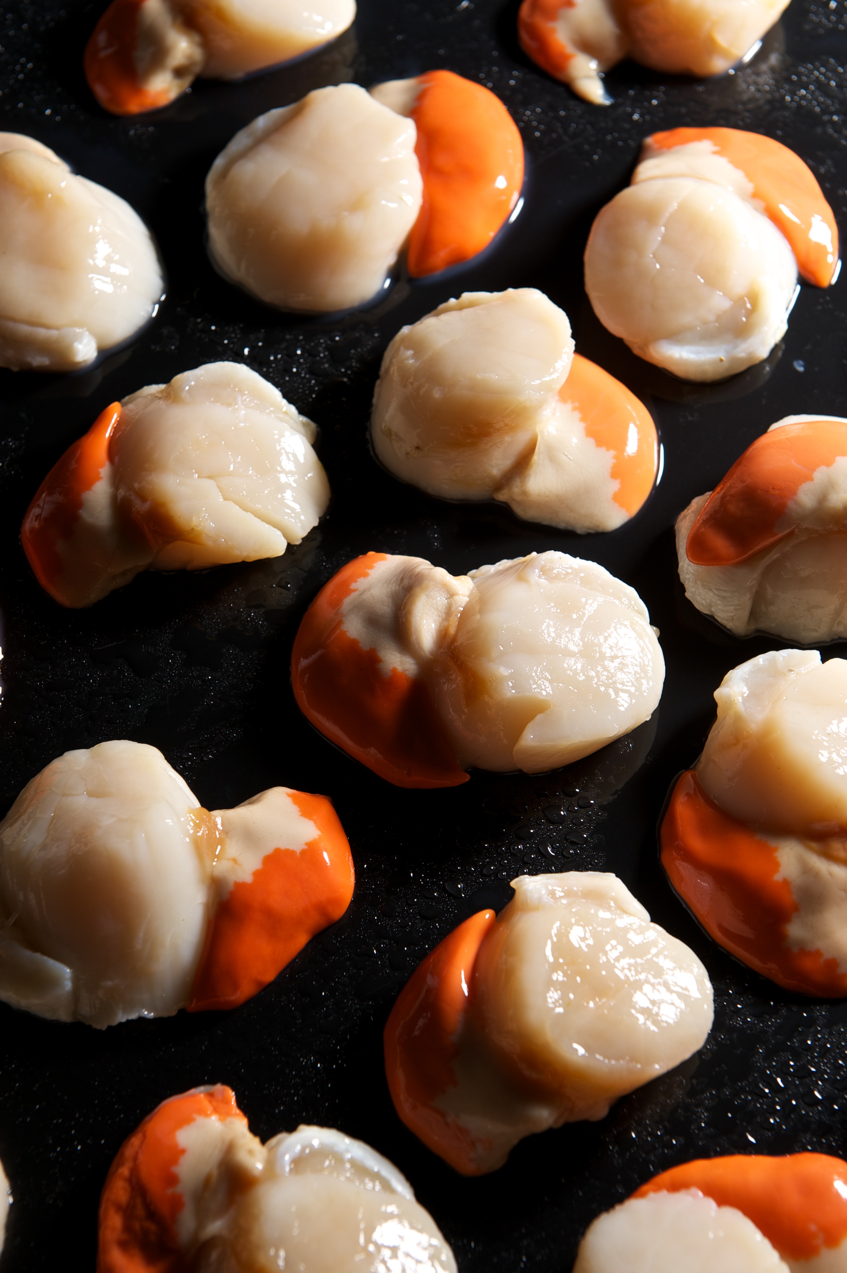 Scallops